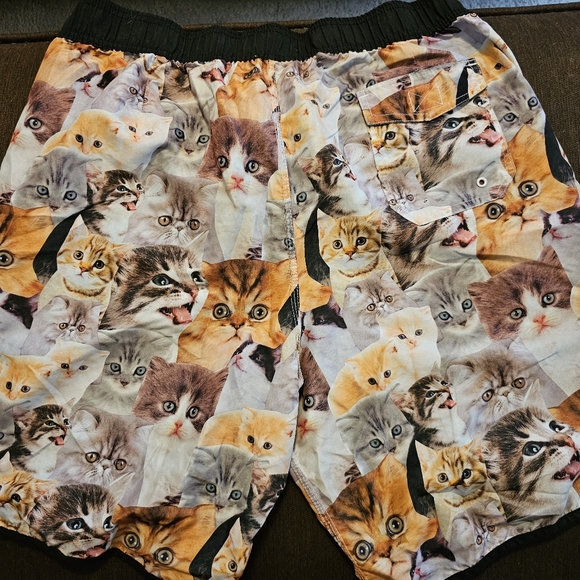 Mens Bioworld Swim Trunks - Picture 3 of 3